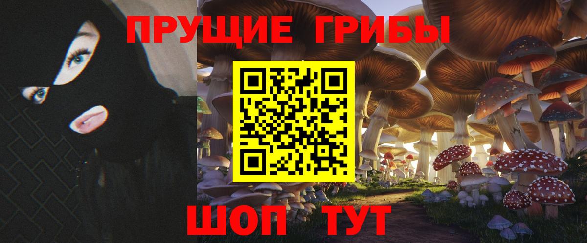 где найти наркотики  Вход с VPN  Псилоцибиновые грибы ЛСД  Избербаш  Галлюциногенные грибы ЛСД 